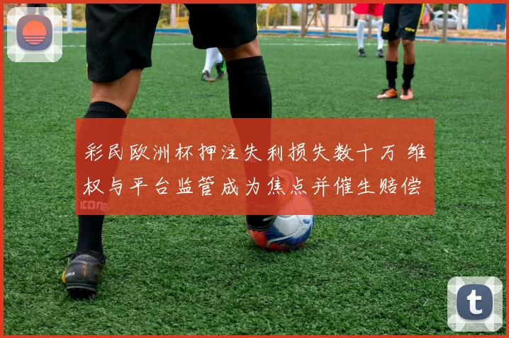 彩民欧洲杯押注失利损失数十万 维权与平台监管成为焦点并催生赔偿讨论