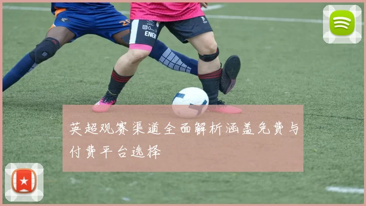 英超观赛渠道全面解析涵盖免费与付费平台选择