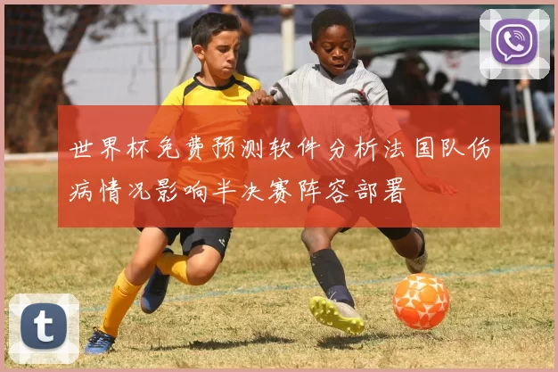 世界杯免费预测软件分析法国队伤病情况影响半决赛阵容部署