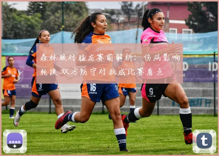 森林狼对猛龙赛前解析：伤病影响轮换 双方防守对抗成比赛看点