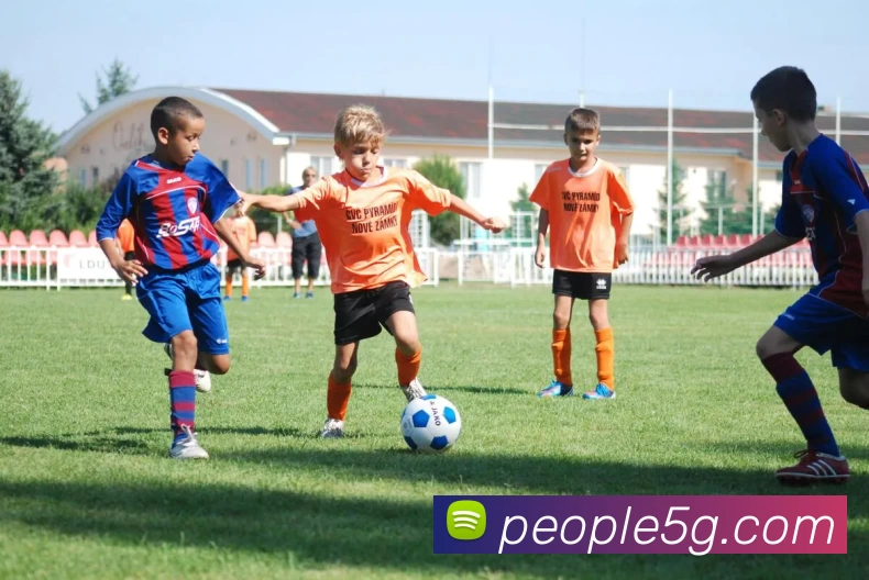 mksports平台最新公告发展历程