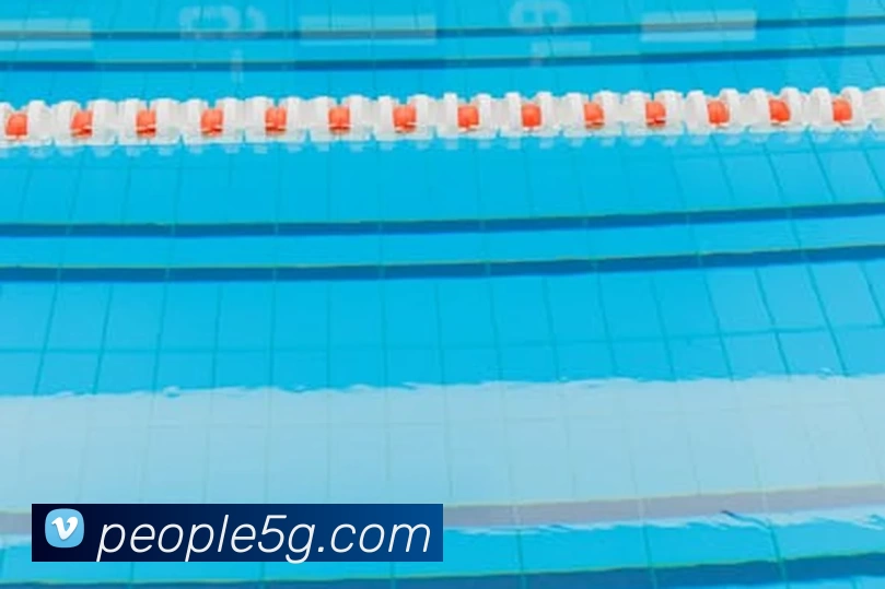 往届欧洲杯冠军球队的阵容对比与战术变化及关键球员表现对本届晋级影响